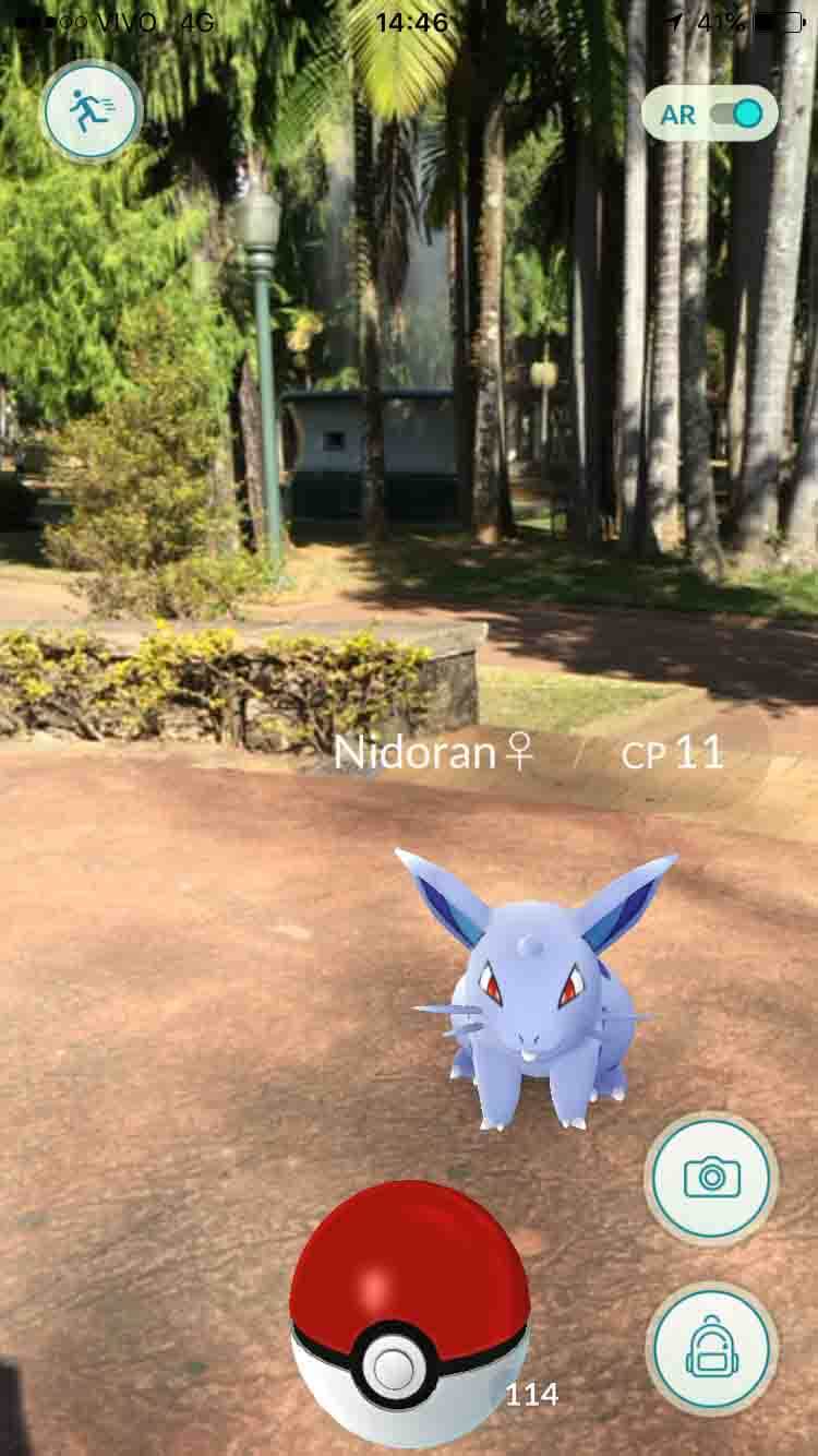 Pokemon Go Poços de Caldas - MG : Curiosidades sobre POKÉMONS da 1