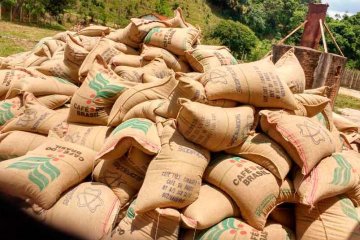 sacas de café que foram roubadas - Jornal da Cidade