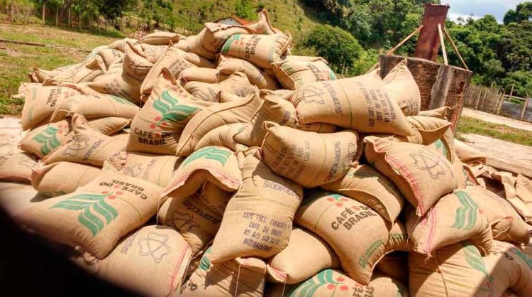 sacas de café que foram roubadas - Jornal da Cidade