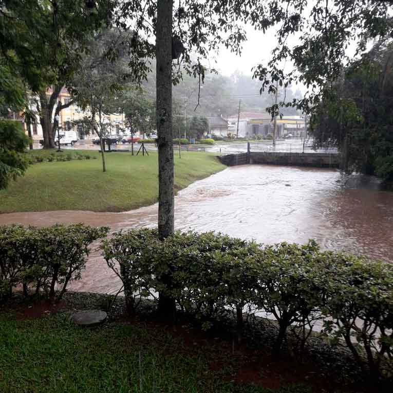 Pau...tando - Jornal da Cidade