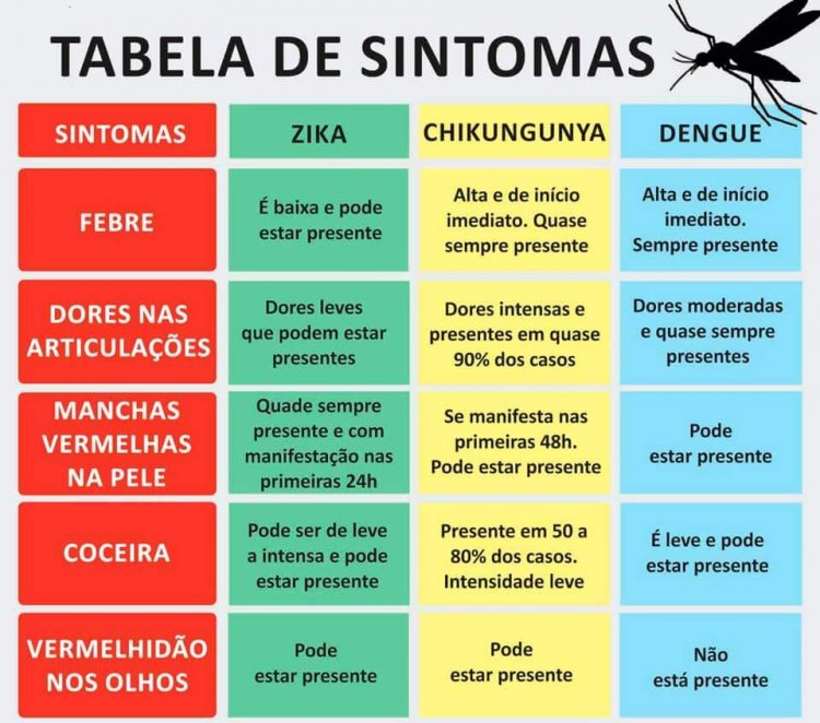 Diferenciar dengue e gripe forte - Jornal da Cidade