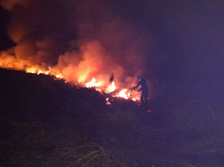 Incêndio destrói área próxima à Mãe Rainha - Jornal da Cidade