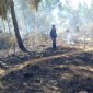 Incêndio na serra de são domingos - Jornal da Cidade