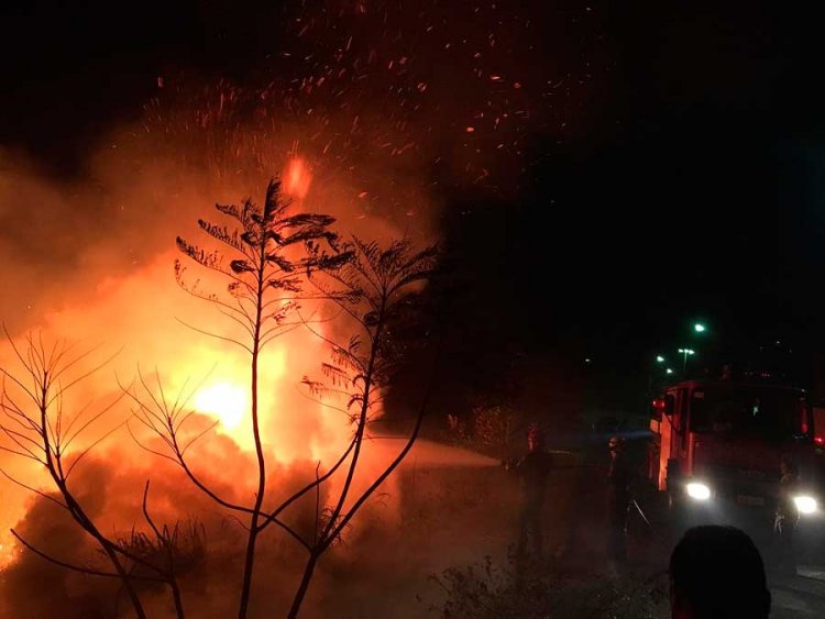 incêndio-na-avenida-Edmundo-Cardillo - Jornal da Cidade