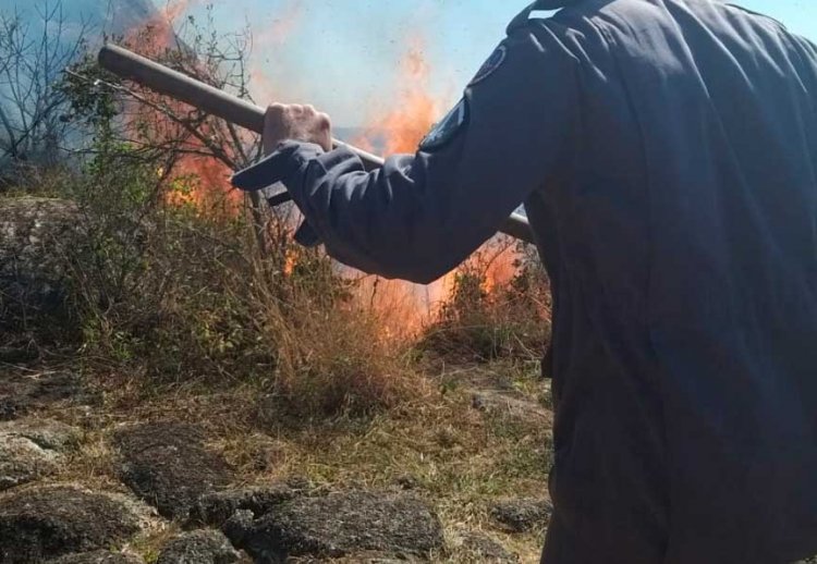 incêndio-na-serra-de-São-Domingos - Jornal da Cidade