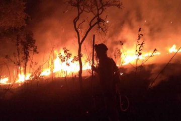 Incêndio no Jardim Centenário - Jardim Centenário