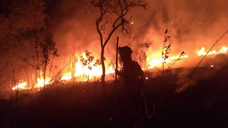 Incêndio no Jardim Centenário - Jardim Centenário