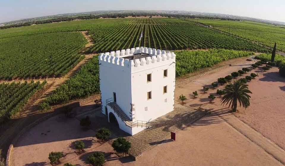 Vinhos do Alentejo - Jornal da Cidade