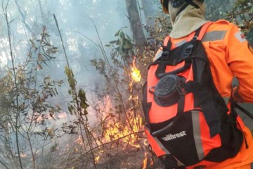 incêndio-na-zona-rural-de-Caldas - Jornal da Cidade