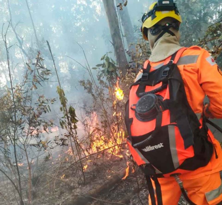 incêndio-na-zona-rural-de-Caldas - Jornal da Cidade