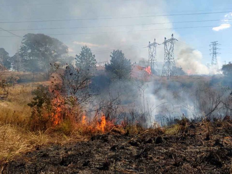 incêndio-no-Maria-Imaculada (1)